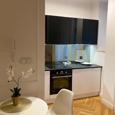 Apartament W Srodmiesciu Warszawy 400m Bulwary Warszawskie I Plac Trzech Krzyzy Daire